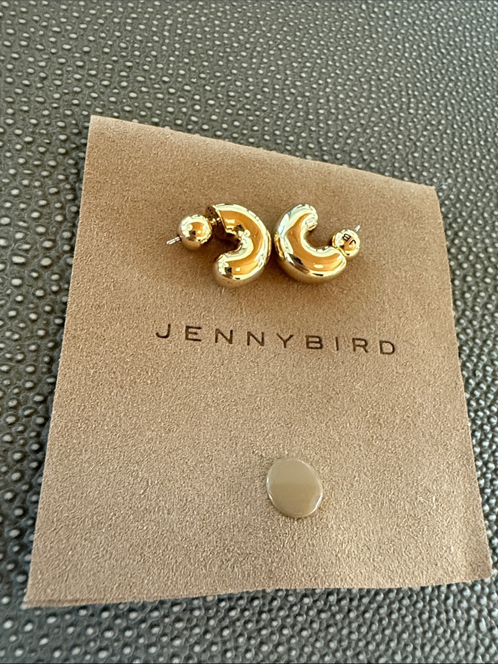 Jenny Bird Tome Medium Hoop Earrings chunky high-polish Gold NEW